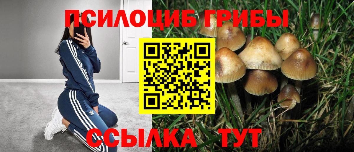Псилоцибиновые грибы прущие грибы Десногорск